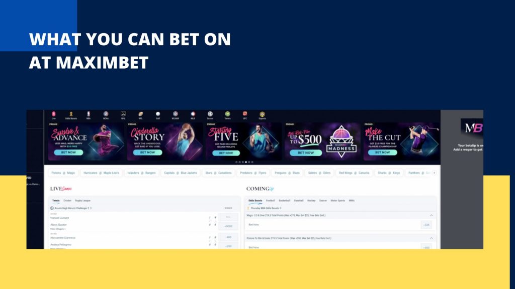 What You Can Bet On at Maximbet